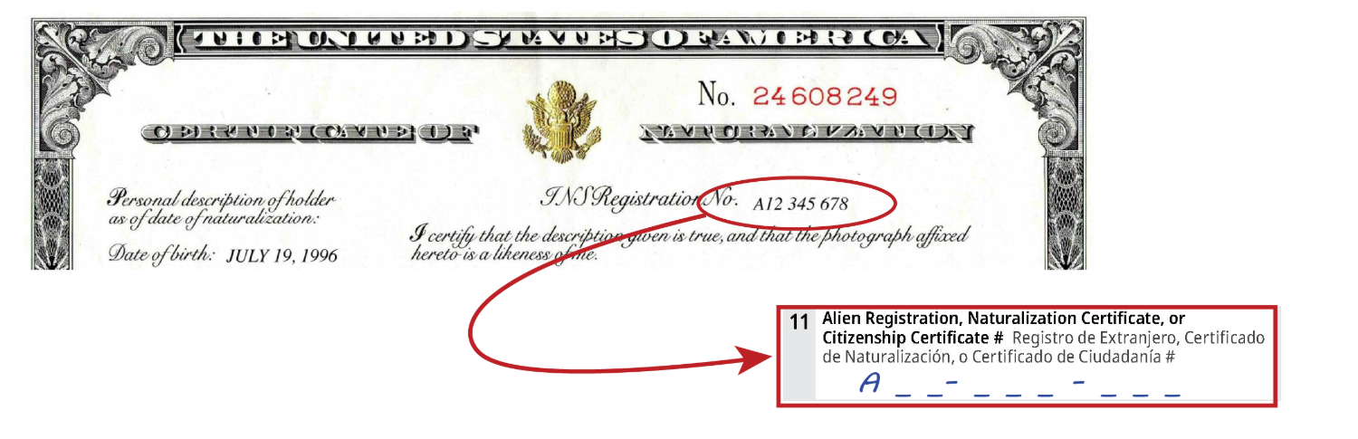Your Naturalization Certificate has a number (starting in the letter “A”) that should be written in Box 11 of the Registration Form. This is NOT the number at the top of the certificate!